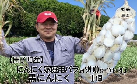 丸美農園 田子産にんにく家庭用バラ 約900g(M〜2L)+黒にんにく 1個