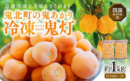 冷凍鬼あかり(ほおずき)500g×2パック | 鬼灯 ホウズキ 特産品 冷凍 フルーツ ジャム 愛媛県 鬼北町