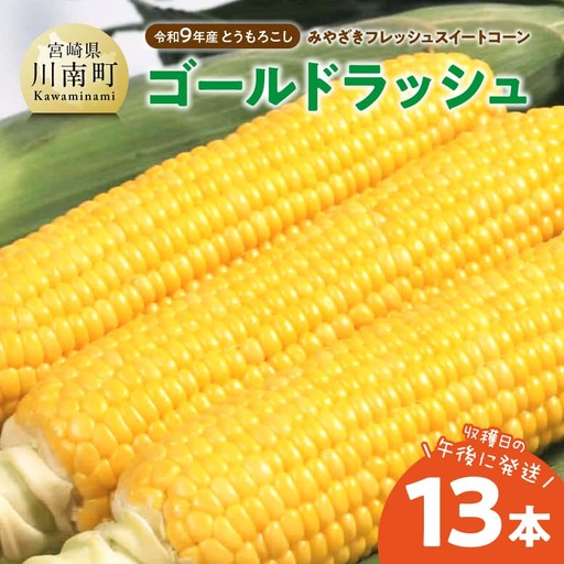 【令和9年発送】　宮崎県産とうもろこし　みやざきフレッシュスイートコーン「ゴールドラッシュ」13本