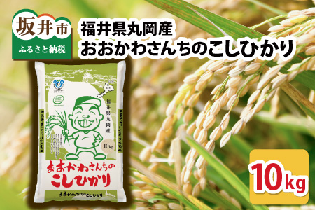 【令和7年産】 おおかわさんちのコシヒカリ 10kg [A-10814]