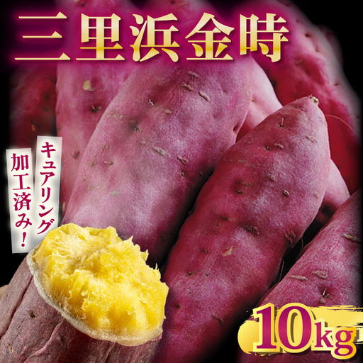 【先行予約】 三里浜金時 10kg (5kg×2箱) キュアリング加工済み 【2026年11月上旬以降順次発送】 [A-1155]