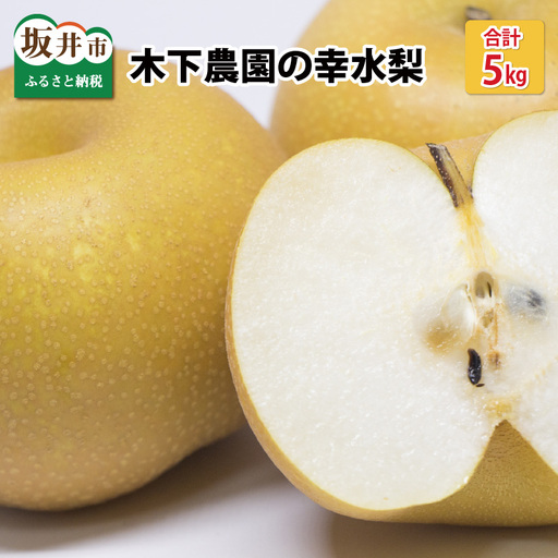 木下農園のみくに梨 「幸水梨」5kg(10〜12玉)2027年8月中旬以降順次発送予定 [A-12101]