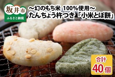 たんちょう杵つき 小米とぼ餅 計40枚 2026年11月下旬以降順次発送 お餅 もち [A-2996]