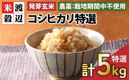 [令和7年産][発芽玄米]コシヒカリ特選 真空パック5kg〜玄米以上の栄養価と白米に近い柔らかさ〜 [無洗米 米 こしひかり ギャバ GABA 特別栽培 食物繊維 栄養 真空パック ごはん ご飯 おいしい ふるさと納税米] [B-2951]