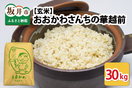 [令和7年産] おおかわさんちの華越前 玄米 30kg [D-10805]