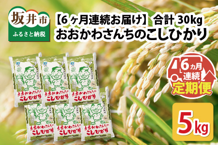 [令和7年産] [6ヶ月連続お届け定期便]おおかわさんちのコシヒカリ 5kg × 6回 計30kg 精米 [E-10802]