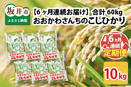 [令和7年産] [6ヶ月連続お届け定期便]おおかわさんちのコシヒカリ 10kg × 6回 計60kg [J-10803]