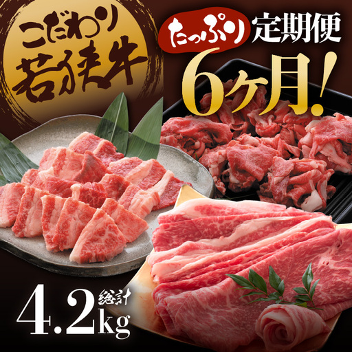 定期便 こだわり若狭牛 全6回 (すき焼き用 / 切り落とし / 焼肉用) 合計4.2kg [肉 6ヶ月 牛肉 肉 お楽しみ 食べ比べ のし 熨斗 和牛 国産和牛 黒毛和牛 黒毛和種 ブランド牛 ギフト 贈答 BBQ 人気 おすすめ] [K-2205]