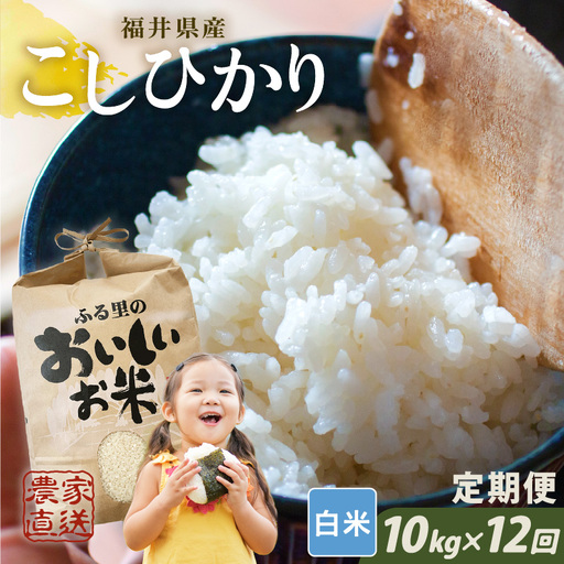 【先行予約】【令和8年産・新米】【農家直送定期便 12ヶ月コース】【白米】 本原農園のまごころコメた 福井県産 コシヒカリ 10kg × 12回 計120kg 【2026年10月上旬以降順次発送】 [O-8908_01]