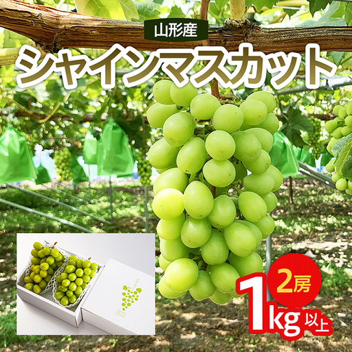 山形市産 シャインマスカット 秀 1kg以上(2房)[前半][令和8年産先行予約]FU22-083 くだもの 果物 フルーツ 山形 山形県 山形市 2026年産