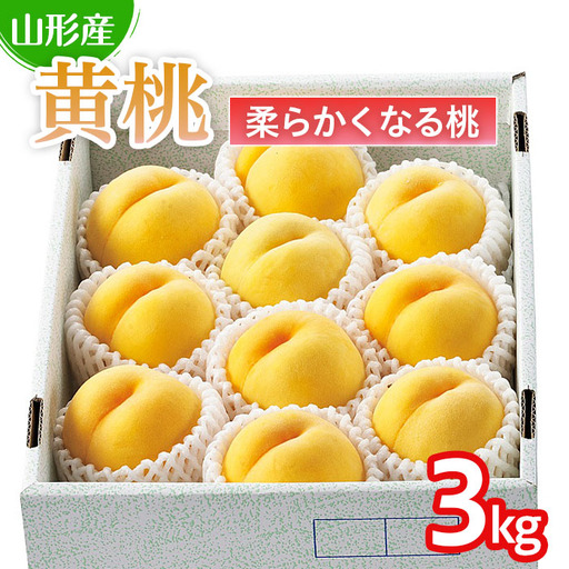  山形の桃(黄桃) 3kg(6～12玉)(品種おまかせ)[柔らかくなる桃] 【令和8年産先行予約】FU22-179