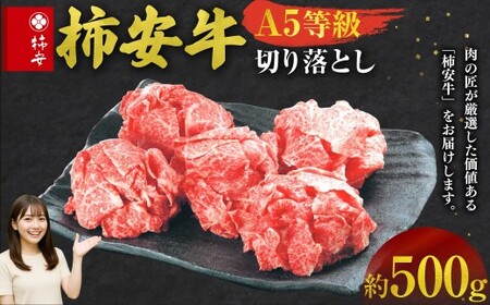 [指定日必須]柿安本店 三重 柿安牛 切り落とし約500g 黒毛和牛 国産 牛肉 赤身 厳選 上質 逸品 グルメ すきやき