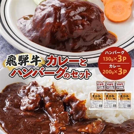 レビューキャンペーン中!飛騨牛入り製品詰め合わせ(カレーとハンバーグ)【2種6食セット】【配送不可地域：離島】【1213291】