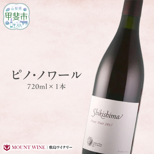 ピノ・ノワール 720ml×1本 ワイン お酒 酒 アルコール 葡萄 ブドウ ギフト プレゼント 贅沢 山梨 甲斐市 F-32