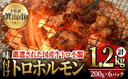 味付け トロホルモン 計1.2kg 200g 6パック 国産 焼肉 絶品 特Ａランク ホルモン ホルモン焼き 牛肉【m25-07】【有限会社Two Village】