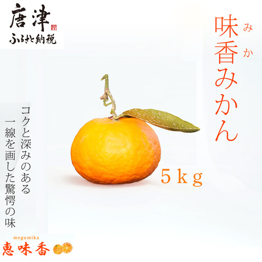 『先行予約』[令和9年2月上旬発送]果皮も丸ごとガブッ!味香みかん 5kg