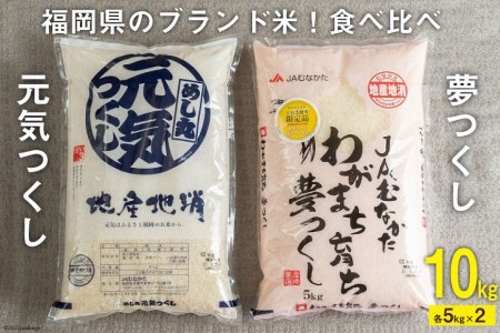 福岡県のブランド米 ! 「夢つくし5kg」 & 「元気つくし5kg」食べ比べ