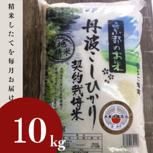 米 コシヒカリ 10kg 精米 白米