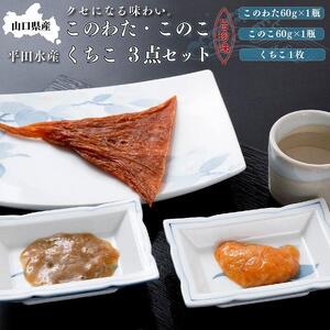 【日本三大珍味】山口県産このわた・このこ・くちこ3点セット