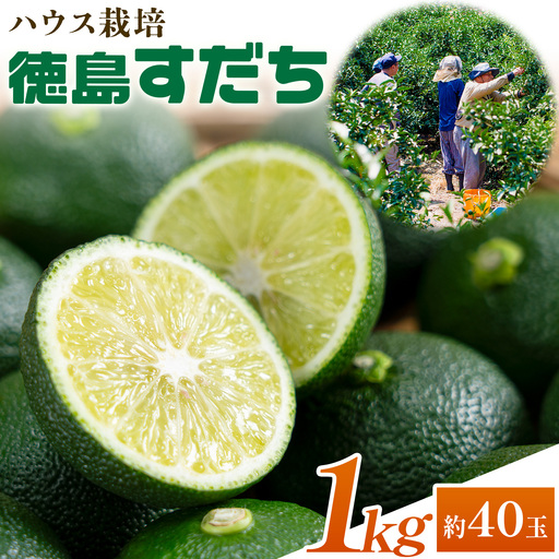 ハウスすだち1kg すだち