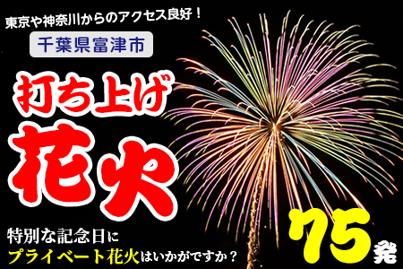 プライベート花火(個人向け打ち上げ花火) 2〜4号玉 計75発
