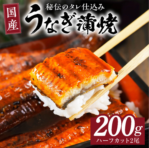 国産うなぎ ハーフカット 合計200g