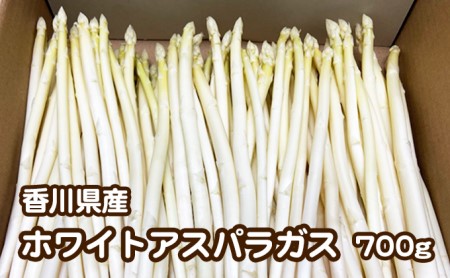 ご家庭用ホワイトアスパラガス 約700g 野菜 野菜セット