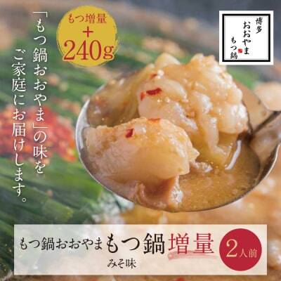 Z65-41 【もつ480g】博多もつ鍋おおやまもつ鍋みそ味2人前 もつ鍋
