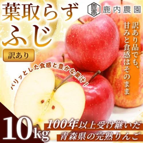 【訳あり】りんご 「葉取らずふじ」 約10kg ((約32～40個) 青森市 産地直送_果物・フルーツ りんご  リンゴ 林檎_【配送不可地域：離島】【1293216】