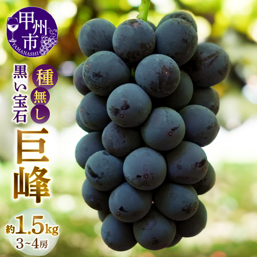 甲州市産種無し巨峰 約1.5kg（3房～4房）【2026年発送】（MG）B12-471 巨峰 フルーツ
