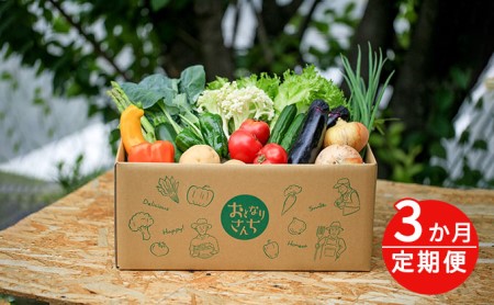 おとなりさんち厳選！浜松から鮮度抜群！旬の野菜BOX【定期便3か月分】【配送不可：沖縄・離島】 セット 詰合せ 