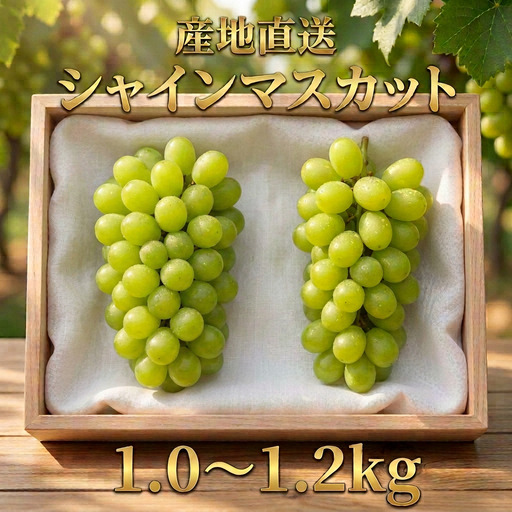 長野県青木村産シャインマスカット(1kg)