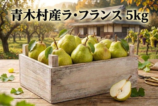 長野県青木村産ラ・フランス1箱(5kg)