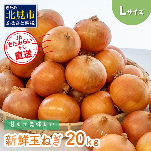 【予約：2026年10月中旬から順次発送】JAきたみらいから直送する甘くて美味しい新鮮玉ねぎ 20kg Lサイズ ( たまねぎ 野菜 北海道 玉葱 )【104-0008-2026】
