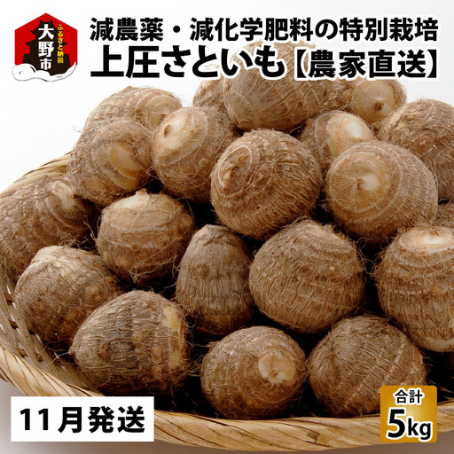 上庄さといも【11月発送分】5kg 里芋 特別栽培 [A-004002_02]