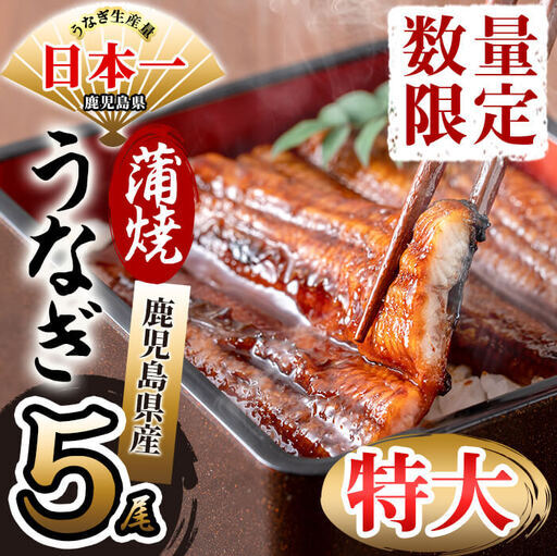 鹿児島県産 伊崎田のうなぎ蒲焼 特大＜190g以上＞× 5尾(計950g以上) うなぎ 鰻 ウナギ 国産 鹿児島県産 九州産 蒲焼き 冷凍 うな重 ひつまぶし c9-001