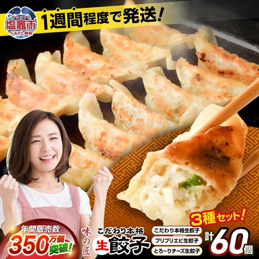 餃子 3種類 詰め合わせ 計60個(12人前)