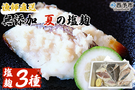 ＜漁師直送 無添加 夏の塩麹 160g×3種セット＞ 魚 詰め合わせ 海鮮 海産物 海鮮セット ハマチ 鯛 イサキ 焼くだけ 簡単調理 処理済み 明浜産 二ノ宮商事株式会社 愛媛県 西予市【冷凍】『2026年4月～9月末迄に順次出荷予定』ANS0004