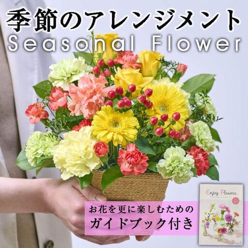 季節のお楽しみフラワーアレンジメント(生花:Sサイズ)生花 花 花束 植物 贈り物 インテリア[FM-2][フラワーショップまつだ]