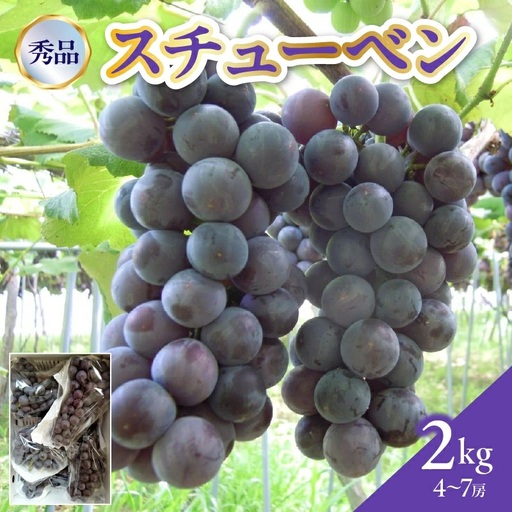 ぶどう（スチューベン）２ｋｇ　0142-2606