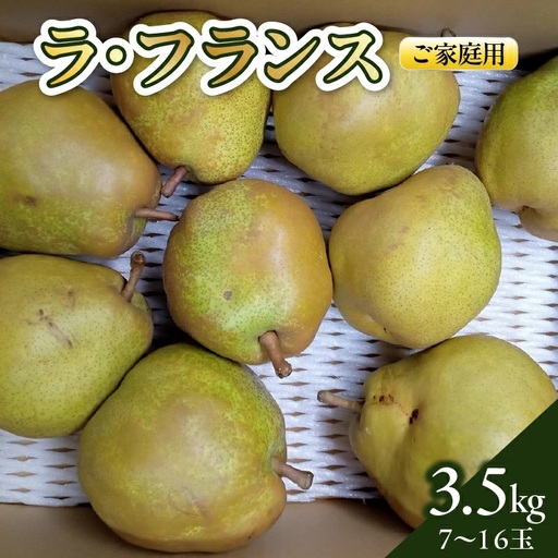 西洋梨（ラ・フランス）３.５ｋｇ　ご家庭用　0142-2611