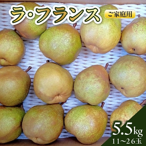 西洋梨（ラ・フランス）５.５ｋｇ　ご家庭用　0142-2613