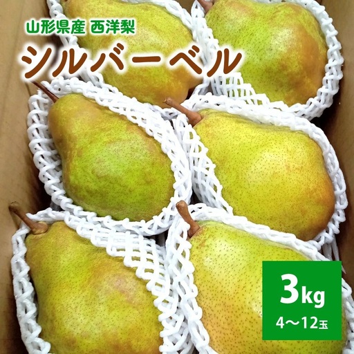 西洋梨（シルバーベル）３ｋｇ　贈答用　0142-2616