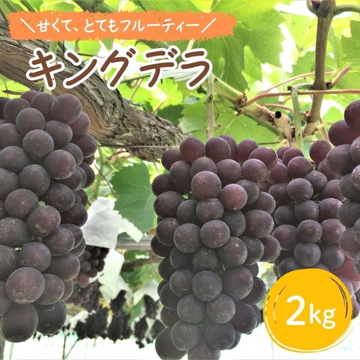 ぶどう（キングデラ）２ｋｇ　0066-2602