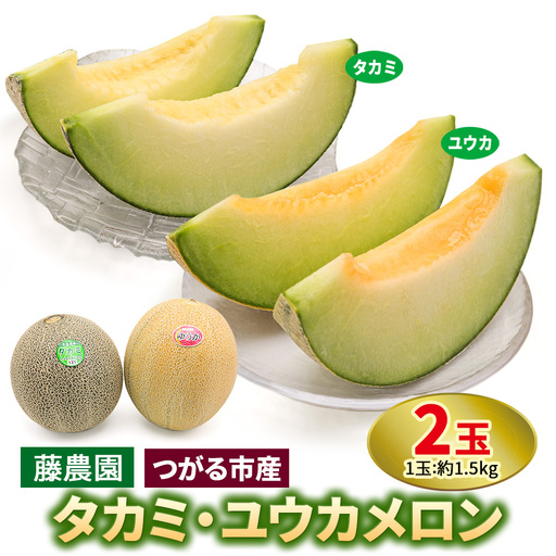 【先行予約】メロン [タカミ] [ユウカ] 2玉セット｜舐瓜 [0837]