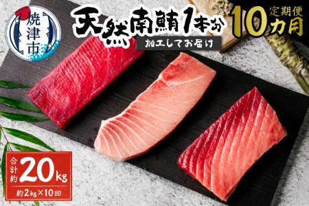 [定期便 10回]天然南鮪1本分(約2kg) (b650-003)