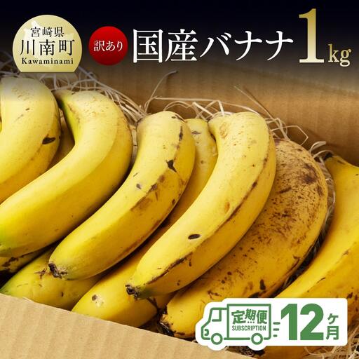 [訳あり]国産バナナ 1kg[12ヶ月定期便][ 国産 バナナ 無農薬 フルーツ 果物 デザート 朝食 スムージー 訳ありバナナ 全12回 ]