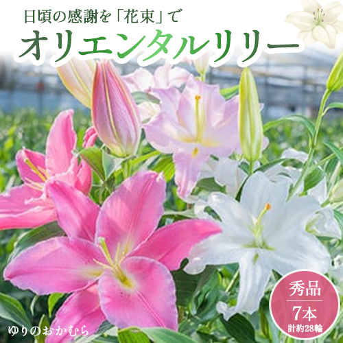 日頃の感謝を「花束」で、オリエンタルリリー【秀品7本】 誕生日 植物 フラワー ギフト プレゼント／Osy-A03