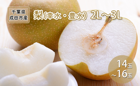 梨 幸水 豊水 2L～3L 14玉～16玉 なし ナシ 和梨 果物 くだもの フルーツ 旬のフルーツ 旬の果物 デザート 千葉 千葉県 成田市