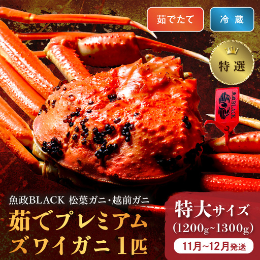 【蟹の匠 魚政】茹で　プレミアムズワイガニ 魚政BLACK（松葉ガニ・越前ガニ）特撰 特大サイズ（1200～1300g） 1匹(11月～12月発送)  蟹